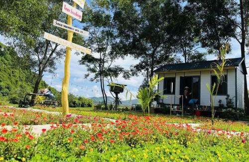 Son Trach Cabin | Huy-Homestay