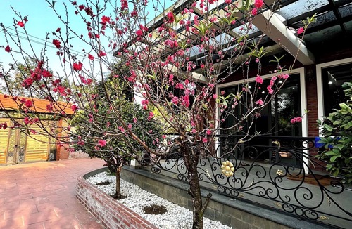 Vinh Yen Villa | J'adore Garden House - Vinh Yen