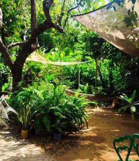 Puerto Escondido House | Jungle Palace hostal santaella