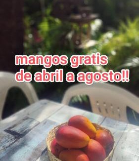 Puerto Escondido House | Jungle Palace hostal santaella