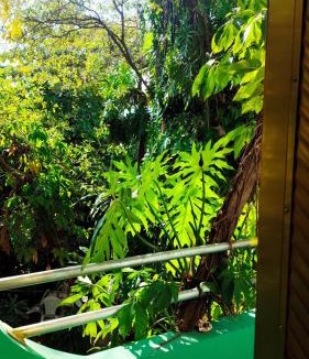 Puerto Escondido House | Jungle Palace hostal santaella