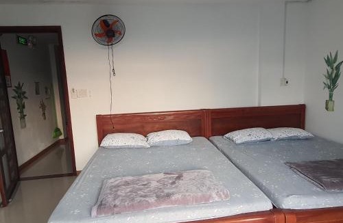 Hue Hotel | KENZPIA Homestay