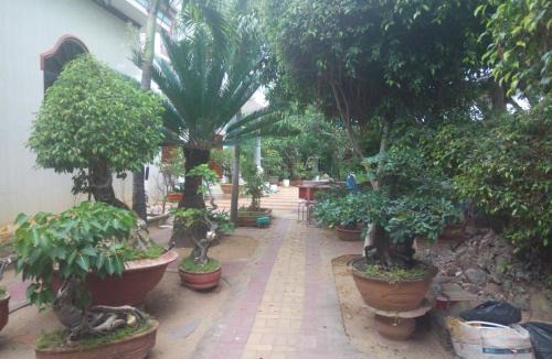 Ninh Hai Hotel | Khách sạn Mộng An