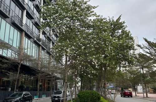 Tay Ho Apartment | KIM Apartment & Homestays