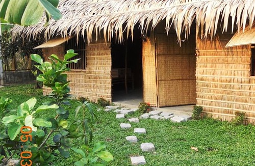 Vi Thuy Bed & Breakfast | Kim Lan Homestay