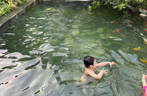 Dong Anh House | Lá house Hà Nội
