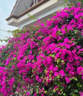 Yen Mo Bed & Breakfast | Lake View Motel - Tam Điệp Ninh Bình