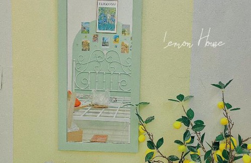 Cat Ba Apartment | Lemon House - Homestay Cát Bà