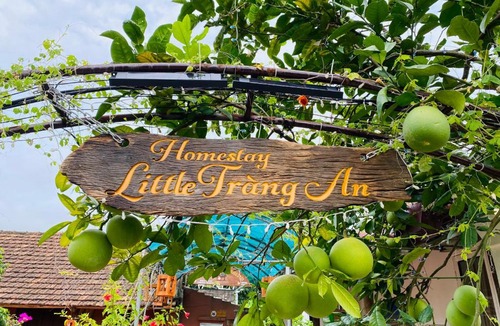 Ninh Binh Apartment | LITTLE TRANG AN HOMESTAY