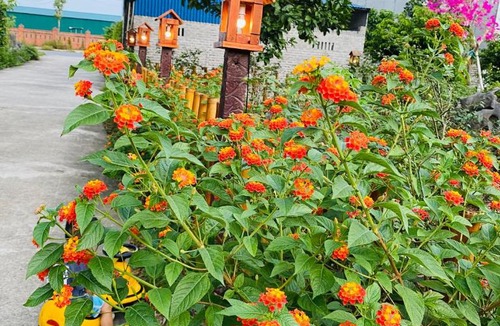 Ninh Binh Apartment | LITTLE TRANG AN HOMESTAY