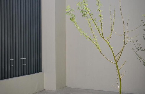 Ciudad Obregon Apartment | LiV109 Norte Depa 2 Cd Obregon
