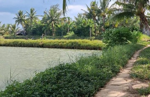 Cam Thanh House | Loc Khang Homestay