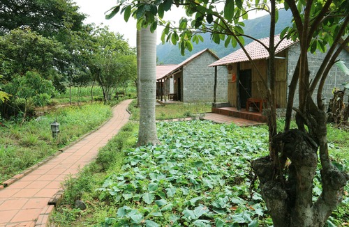 Cat Hai Hotel | Long Phuong Homestay