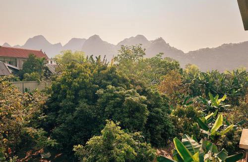 Phong Nha Hotel | Loren Homestay