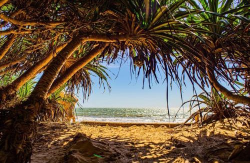 Phan Thiet House | Lotus Beach House