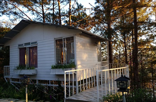 Da Lat House | Lovely Treehouse with 2 queen beds, restroom, small kitchen, balcony forest view