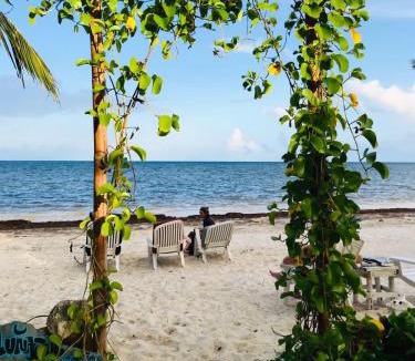 Mahahual Cabin | Lunazul Eco-Cabaña Frente al Mar
