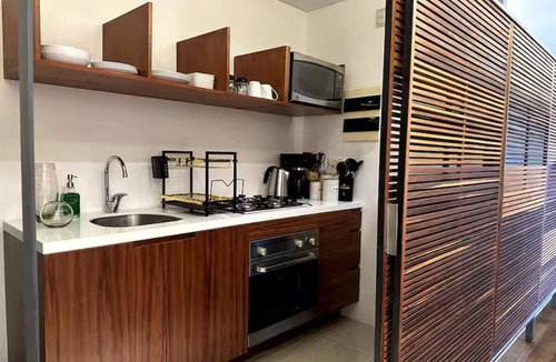 Zona Rosa Apartment | Luxurious and exotic apartment in Reforma 222