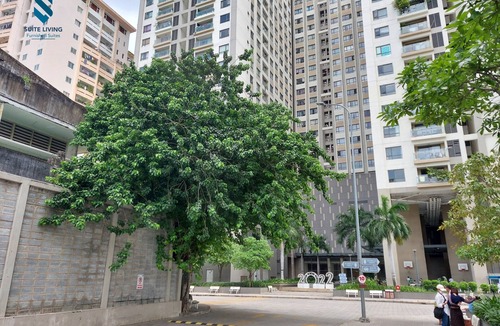 District 4 Apartment | Luxury The Goldview - Spacious 2 Bedroom Apartment Free Gym, Pool, Netflix
