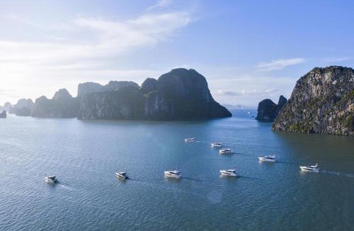 Ha Long Boat Rental | Luxury Yacht Ha Long Bay - Managed by Vietyacht Club