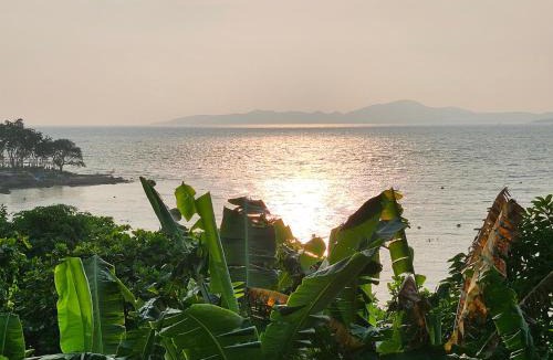 Pratumnak Hill Apartment | Luxus Condo im ANDROMEDA Pattaya