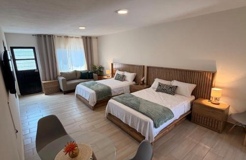 Guadalajara Municipality Apartment | Luz de Estrella
