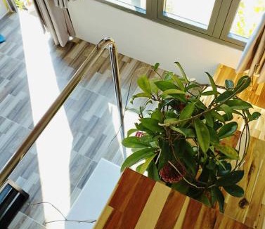 Ke Ga House | Mơ Homestay Kê Gà (Mer Bleue Homestay)