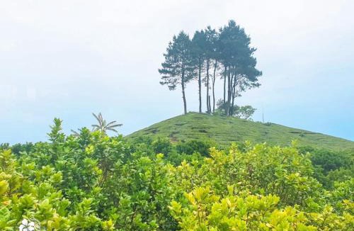 Moc Chau Hotel | Mộc Châu House