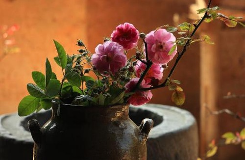Dong Van House | Ma Le Homestay