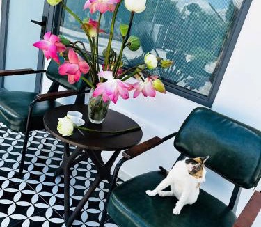 Lam Ha Bed & Breakfast | Mai Anh Đào Hotel
