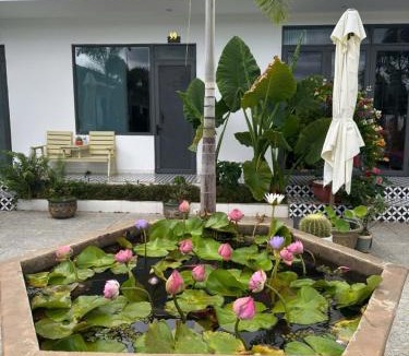 Lam Ha Hotel | Mai Anh Đào Motel