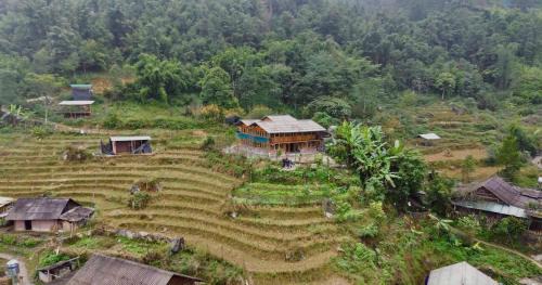Sa Pa House | Mango Sapa Homestay & Trekking