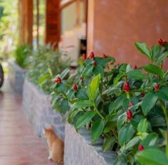 Cua Lap Apartment | Mango Village