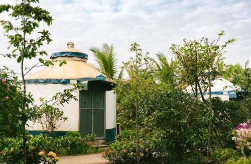 Tay Ninh Other | Mekong Camping Deluxe