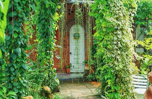 Long Ho House | Mekong Pottery Homestay, Green-Friendly & Boat Tour