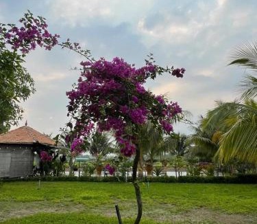 Tay Ninh House | Melalueca tây ninh