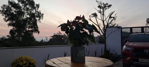 Pleiku House | MiCHUM HOUSE