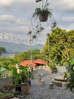 Yen Minh Hostel | Milk Milk Homestay