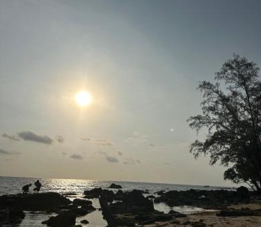 Duong Dong Hotel | Mimosa Stay Boutique Hotel Phu Quoc