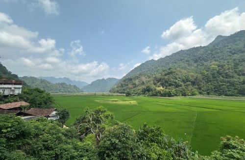 Nam Mau House | Minh Quang homestay