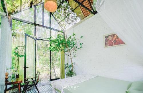 Mo Cay Nam Bed & Breakfast | MOCAY farmstay