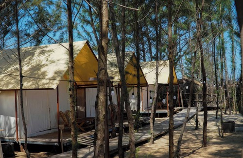 Xuyen Moc RV Rental | Mongolia tent Amazing Camping Vivu24h