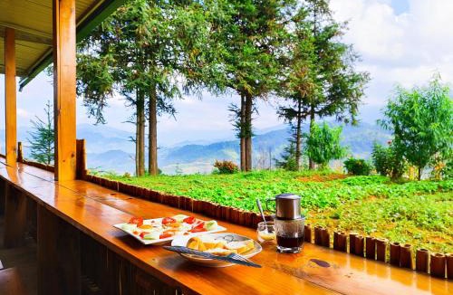 Mu Cang Chai Cabin | Mu Cang Chai Homestay & Trekking