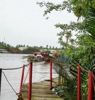 Giong Trom House | Nông Trại Thảnh Thơi