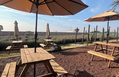 Texcoco de Mora RV Rental | Natural Romance in Glamping Rincón de Lavanda
