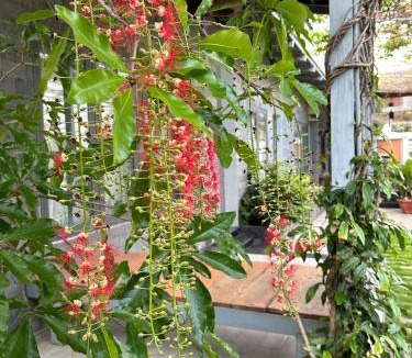 Phan Rang - Thap Cham Apartment | NGHI Homestay