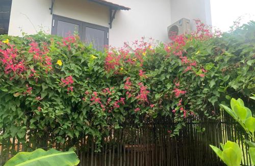 Phan Rang - Thap Cham Apartment | NGHI Homestay