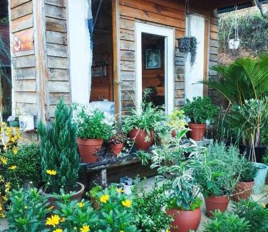 Da Lat Cabin | Nhà Để Chill Homestay