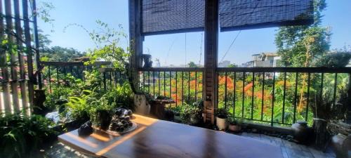 Hanoi House | Nhà Hạnh Mi