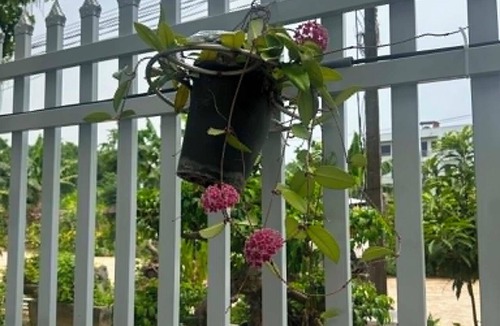 Ninh Binh Apartment | Nhà Homestay